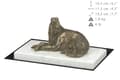 Pikkukuva 5 / 5: Venäjän borzoivinttikoira, Borzoi, Barzoi I - koirapatsas, hahmo valkoisella marmorilla, palkinto koiranäyttelyyn Art-Dog