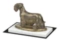 Miniatyrbild 3 av 5: Czech Terrier, Cesky Terrier - hundstatyett, statyett på vit marmor, trofé för en hundutställning av Art-Dog