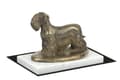 Miniatyrbild 4 av 5: Czech Terrier, Cesky Terrier - hundstatyett, statyett på vit marmor, trofé för en hundutställning av Art-Dog