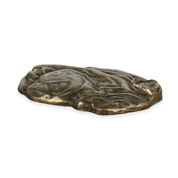 Shar Pei - muistolaatta koiran kanssa, henkilökohtainen kiitoskirje, palkinto, tutkintotodistus omistautumisesta Art-Dog -brändiltä