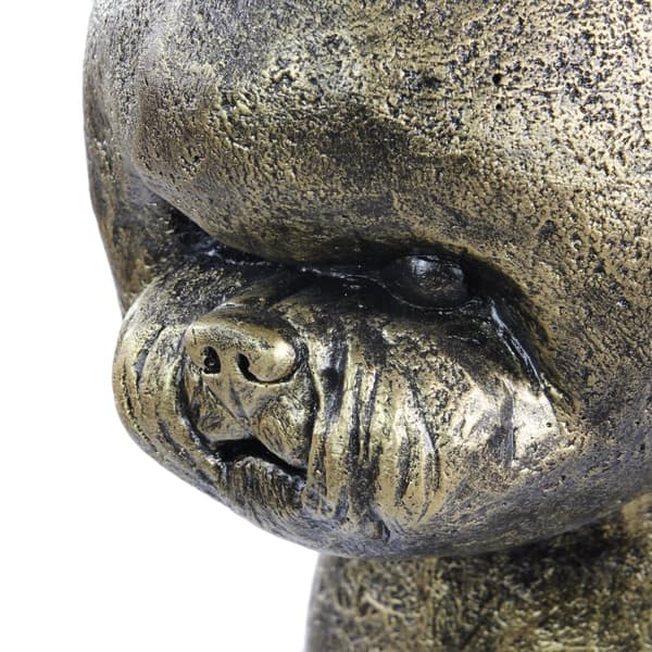 Bichon Frise, Tenerife hund - hundestatuette i naturlig størrelse, figur i skala 1:1, havestatue af Art-Dog