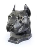 Pikkukuva 3 / 11: Amerikkalainen staffordshiren terrieri, Amstaff, Amstaf - koiran rintakuva, iso koiran pää puutarhaan, ainutlaatuinen Art-Dogin olohuoneen sisustus