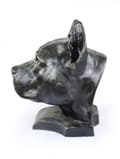 Pikkukuva 6 / 11: Amerikkalainen staffordshiren terrieri, Amstaff, Amstaf - koiran rintakuva, iso koiran pää puutarhaan, ainutlaatuinen Art-Dogin olohuoneen sisustus