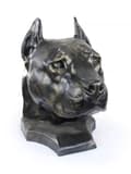 Pikkukuva 2 / 11: Amerikkalainen staffordshiren terrieri, Amstaff, Amstaf - koiran rintakuva, iso koiran pää puutarhaan, ainutlaatuinen Art-Dogin olohuoneen sisustus