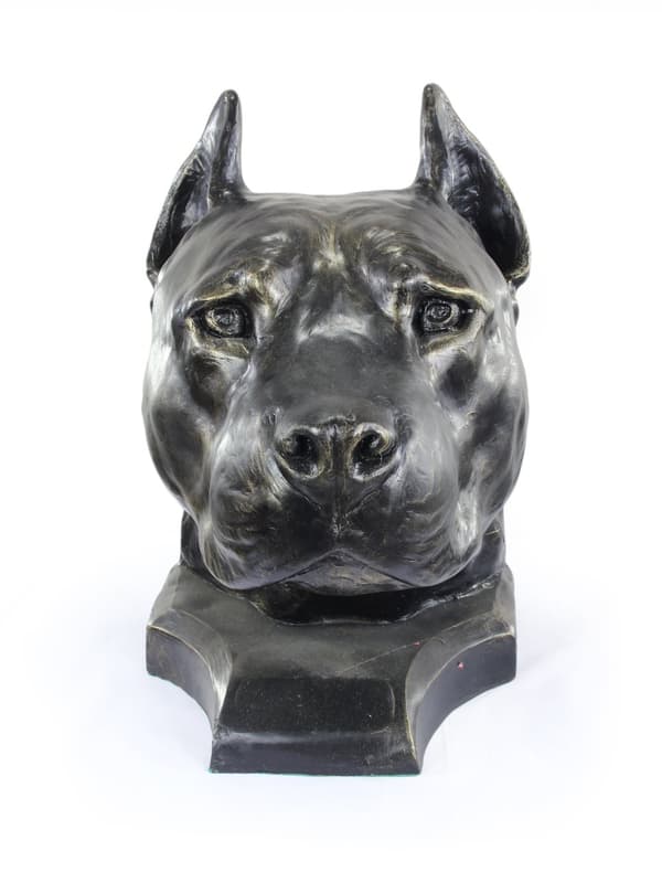 Amerikkalainen staffordshiren terrieri, Amstaff, Amstaf - koiran rintakuva, iso koiran pää puutarhaan, ainutlaatuinen Art-Dogin olohuoneen sisustus