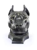 Pikkukuva 1 / 11: Amerikkalainen staffordshiren terrieri, Amstaff, Amstaf - koiran rintakuva, iso koiran pää puutarhaan, ainutlaatuinen Art-Dogin olohuoneen sisustus