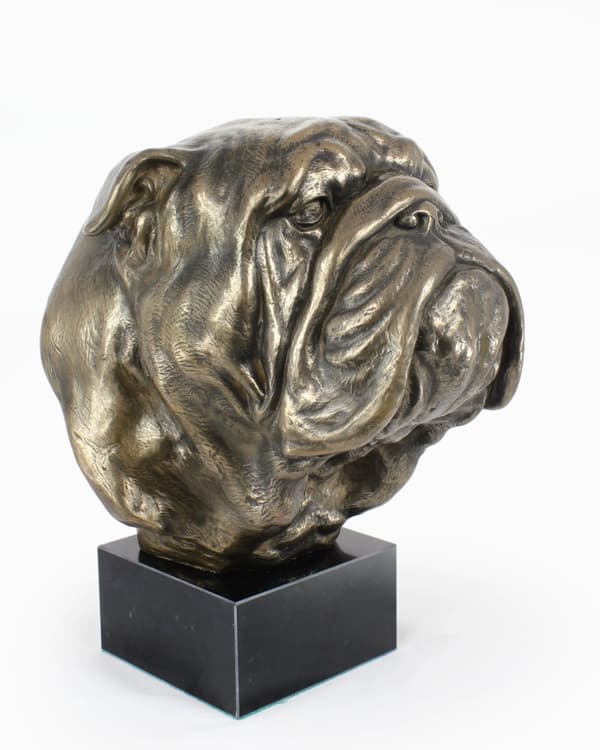 Engelsk Bulldog, Bulldog - hundebuste, stor statuette, hundehoved på stenbund, kontordekoration af Art-Dog