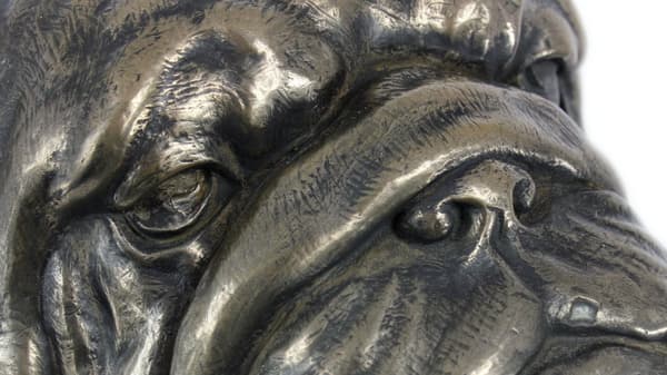 Engelsk Bulldog, Bulldog - hundebuste, stor statuette, hundehoved på stenbund, kontordekoration af Art-Dog