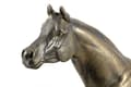 Miniatyrbillede 5 af 9: Arabisk hest I - statuette med en hest, silhuet af en hest på træ, prestigefyldt pris i Art-Dog-mærkekonkurrencen