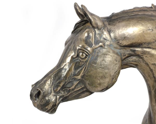 Araberhest - stor statuette med hest, buste på en stenbund, prestigefyldt pris i Art-Dog-mærkekonkurrencen