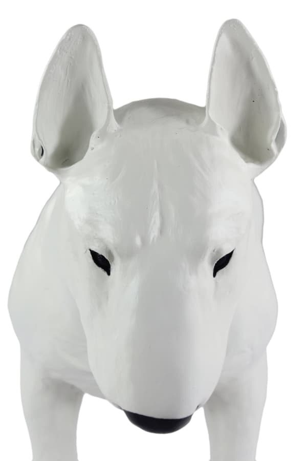 Bull Terrier, Bull Terrier I - hundestatuette i naturlig størrelse, figur i skala 1:1, statue til haven af Art-Dog