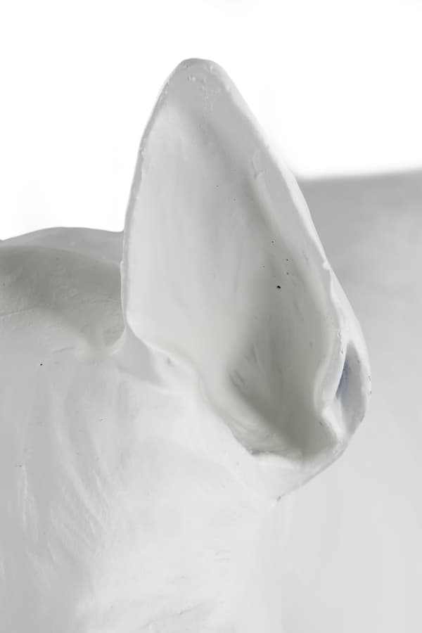 Bull Terrier, Bull Terrier I - hundestatuette i naturlig størrelse, figur i skala 1:1, statue til haven af Art-Dog