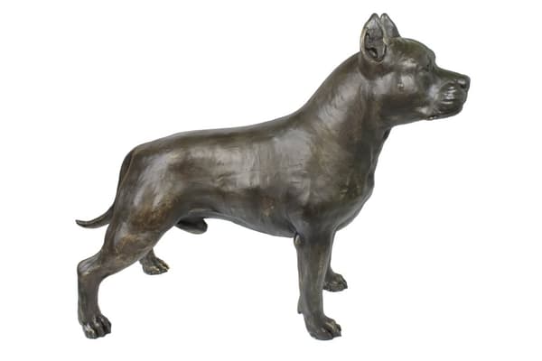 Staffordshire Bull Terrier, Staffik, Staffi I - hundestatuette i naturlig størrelse, figur i skala 1:1, havestatue af Art-Dog
