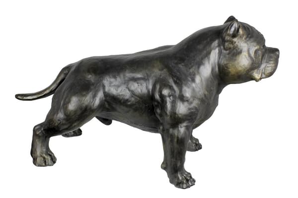American Bully II - hundestatuette i naturlig størrelse, figur i skala 1:1, havestatue af Art-Dog