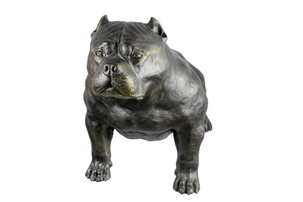 American Bully II - hundestatuette i naturlig størrelse, figur i skala 1:1, havestatue af Art-Dog