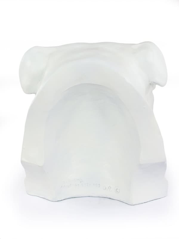Engelsk Bulldog, Bulldog II - hundebuste, stort hundehoved til haven, unik stuedekoration af Art-Dog