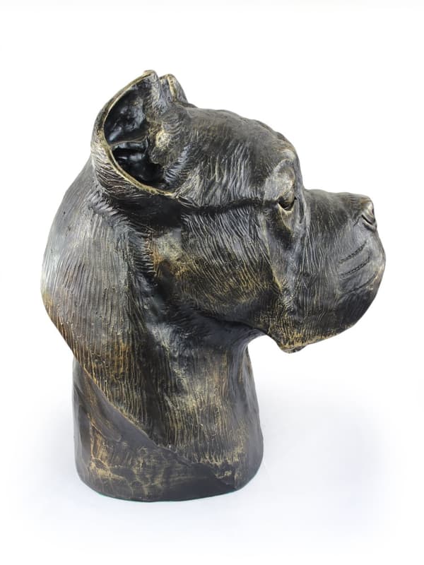 Cane Corso Italiano - koiran rintakuva, iso koiran pää puutarhaan, ainutlaatuinen olohuoneen sisustus Art-Dogilta