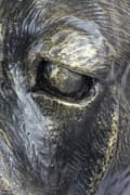 Pikkukuva 4 / 6: Cane Corso Italiano - koiran rintakuva, iso koiran pää puutarhaan, ainutlaatuinen olohuoneen sisustus Art-Dogilta