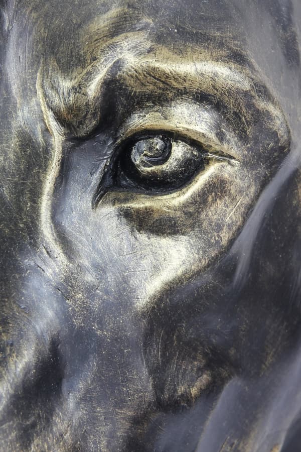 Doberman, Dobermann - koiran rintakuva, iso koiran pää puutarhaan, ainutlaatuinen olohuoneen sisustus Art-Dogilta