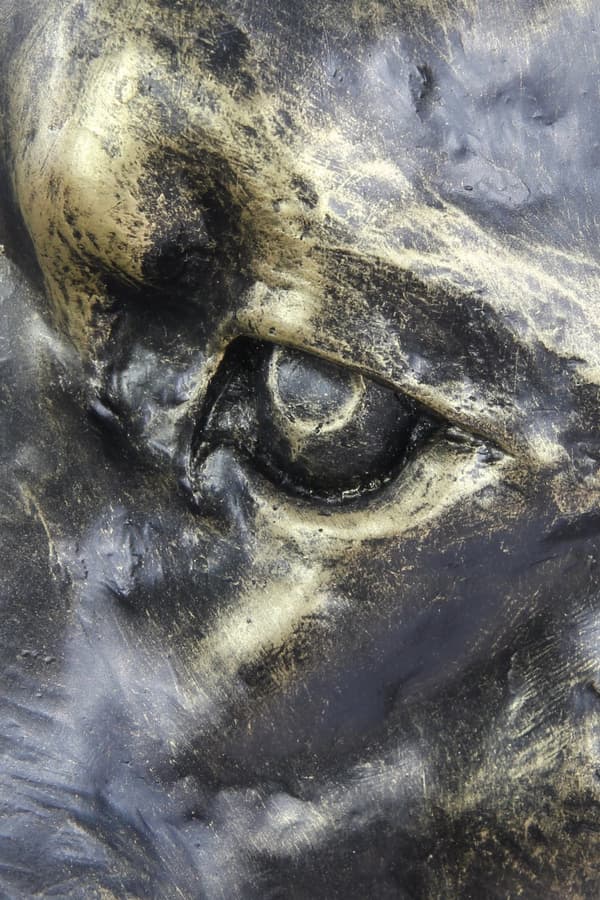 Rottweiler - hundebuste, stort hundehoved til haven, unik stuedekoration fra Art-Dog