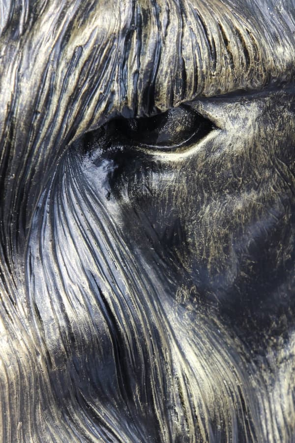 Schnauzer, Schnauzer I - hundebuste, stort hundehoved til haven, unik stuedekoration af Art-Dog