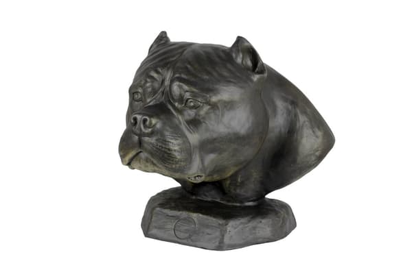American Bully I - hundbyst, stort hundhuvud för trädgården, unik vardagsrumsdekoration av Art-Dog