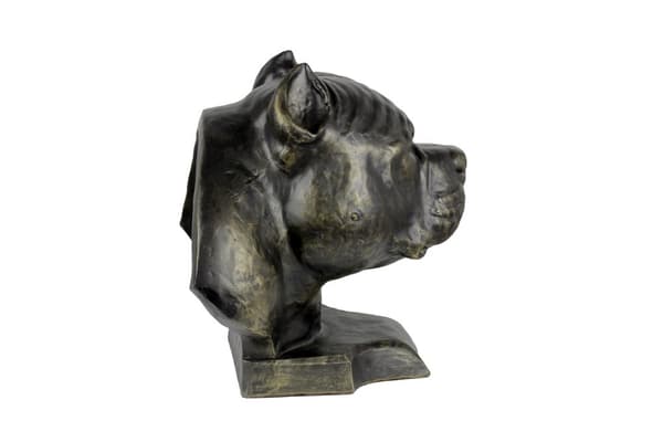 American Bully II - koiran rintakuva, iso koiran pää puutarhaan, ainutlaatuinen olohuoneen sisustus Art-Dogilta