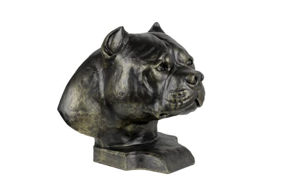 American Bully II - koiran rintakuva, iso koiran pää puutarhaan, ainutlaatuinen olohuoneen sisustus Art-Dogilta