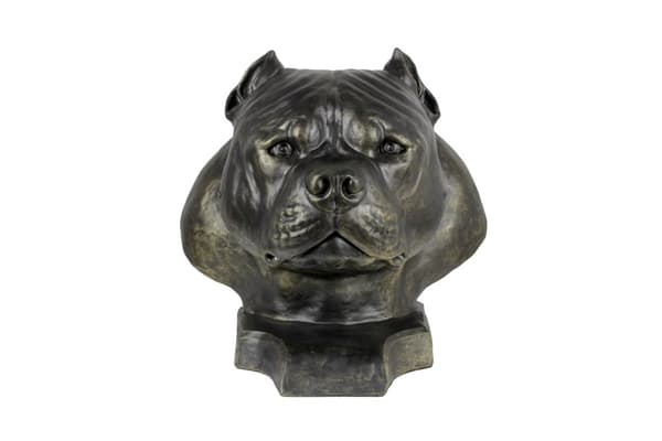 American Bully II - koiran rintakuva, iso koiran pää puutarhaan, ainutlaatuinen olohuoneen sisustus Art-Dogilta