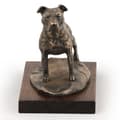Pikkukuva 5 / 7: Amerikkalainen staffordshiren terrieri, Amstaff, Amstaf II - koirapatsas, toimistohahmo, Art-Dogin koiranäyttelypalkinto