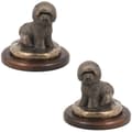 Pikkukuva 1 / 6: Bichon Frise, Teneriffan koira - koirapatsas, toimistohahmo, Art-Dogin koiranäyttelypalkinto