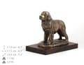 Pikkukuva 4 / 5: Newfoundland, Newfoundland, vesiputous - koirapatsas, hahmo toimistoon, palkinto koiranäyttelyyn Art-Dog