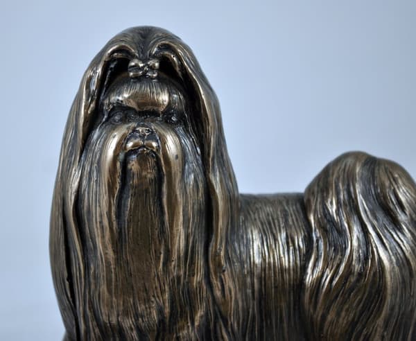 Shih Tzu, Shi tsu, Shi-Tzu, Szi-cu, Szitzu - hundstatyett, kontorsfigur, hundutställningstrofé av Art-Dog