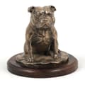 Pikkukuva 5 / 7: Staffordshiren bullterrieri, Staffik, Staffi II - koirapatsas, toimistohahmo, Art-Dogin koiranäyttelypalkinto