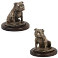 Pikkukuva 1 / 7: Staffordshiren bullterrieri, Staffik, Staffi II - koirapatsas, toimistohahmo, Art-Dogin koiranäyttelypalkinto