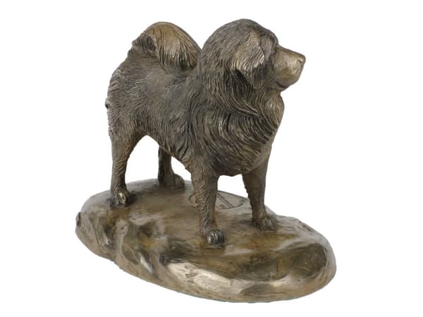 Tibetansk terrier, tibetansk terrier - hundestatuette, kontorfigur, hundeudstillingstrofæ af Art-Dog