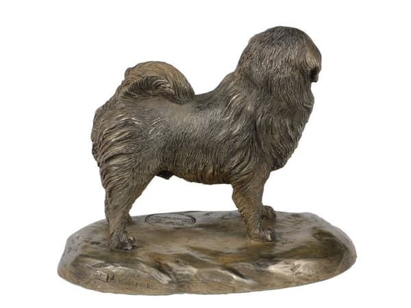 Tibetansk terrier, tibetansk terrier - hundestatuette, kontorfigur, hundeudstillingstrofæ af Art-Dog
