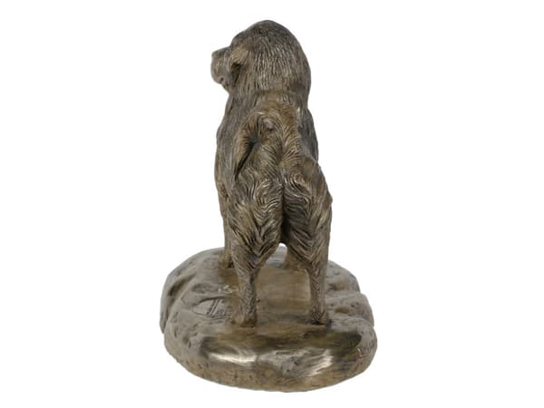 Tibetansk terrier, tibetansk terrier - hundestatuette, kontorfigur, hundeudstillingstrofæ af Art-Dog