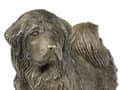Miniatyrbillede 8 af 10: Tibetansk terrier, tibetansk terrier - hundestatuette, kontorfigur, hundeudstillingstrofæ af Art-Dog