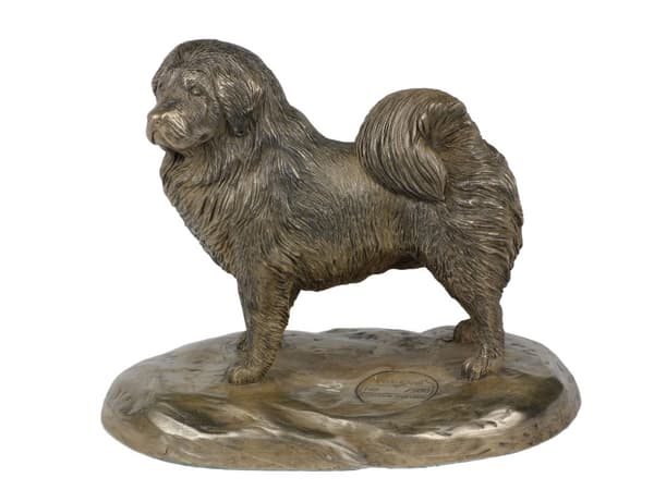 Tibetansk terrier, tibetansk terrier - hundestatuette, kontorfigur, hundeudstillingstrofæ af Art-Dog