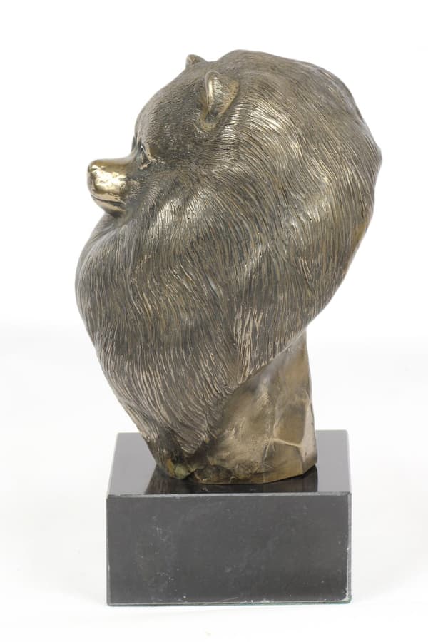 Pomeranian, Pomeranian - hundestatuette, buste på stenbund, skulptur, trofæ til hundeudstilling af Art-Dog