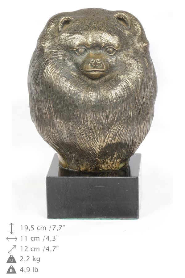 Pomeranian, Pomeranian - hundestatuette, buste på stenbund, skulptur, trofæ til hundeudstilling af Art-Dog