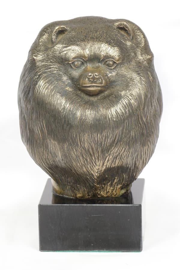 Pomeranian, Pomeranian - hundestatuette, buste på stenbund, skulptur, trofæ til hundeudstilling af Art-Dog