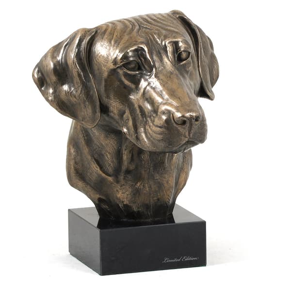 Rhodesian Ridgeback, afrikansk løvehund - hundestatuette, buste på en stenbund, skulptur, trofæ til en hundeudstilling af Art-Dog