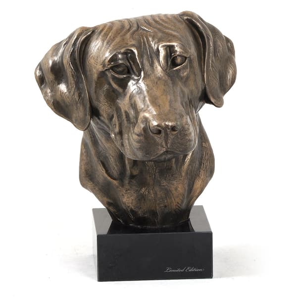 Rhodesian Ridgeback, afrikansk løvehund - hundestatuette, buste på en stenbund, skulptur, trofæ til en hundeudstilling af Art-Dog