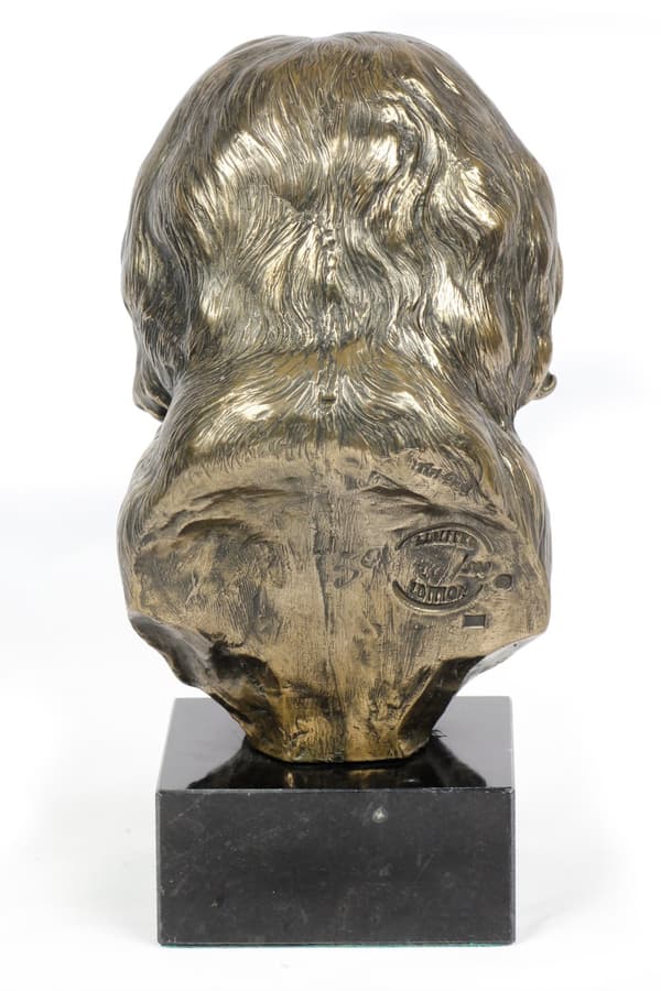 Tibetansk terrier, tibetansk terrier - hundestatuette, buste på en stenbund, skulptur, trofæ til en hundeudstilling af Art-Dog