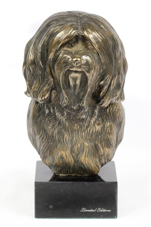 Tibetansk terrier, tibetansk terrier - hundestatuette, buste på en stenbund, skulptur, trofæ til en hundeudstilling af Art-Dog