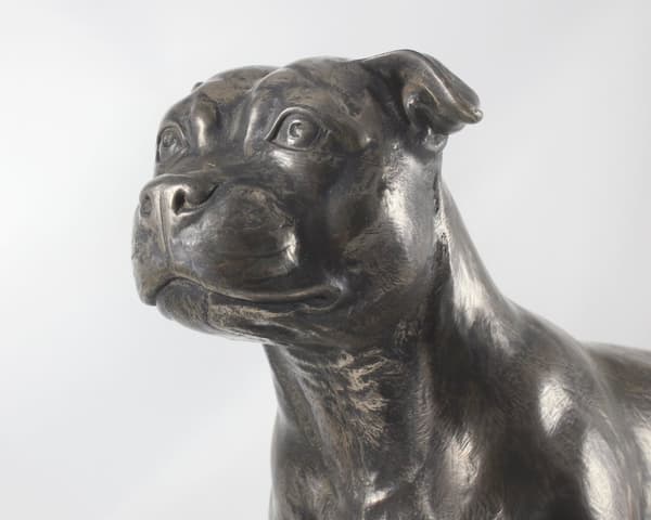 Staffordshiren bullterrieri, Staffik, Staffi - eksklusiivinen koirapatsas, ylellinen sisustus, rajoitettu erä Art-Dog -hahmoja