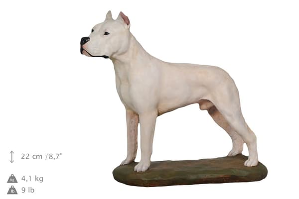 Argentiinalainen koira, Dogo Argentino - maalattu patsas, hahmopatsas, taiteilijan valmistama, Art-Dog tuotemerkki