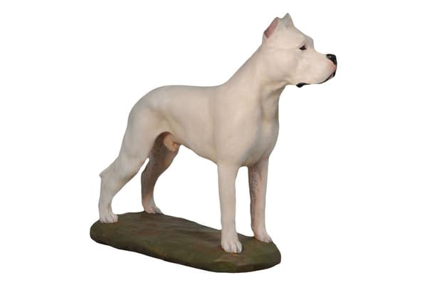 Argentiinalainen koira, Dogo Argentino - maalattu patsas, hahmopatsas, taiteilijan valmistama, Art-Dog tuotemerkki